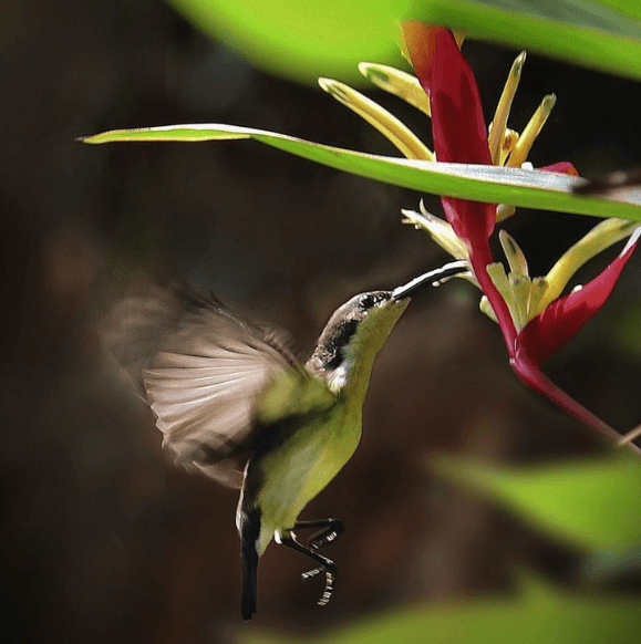 Amarnath's photography 1