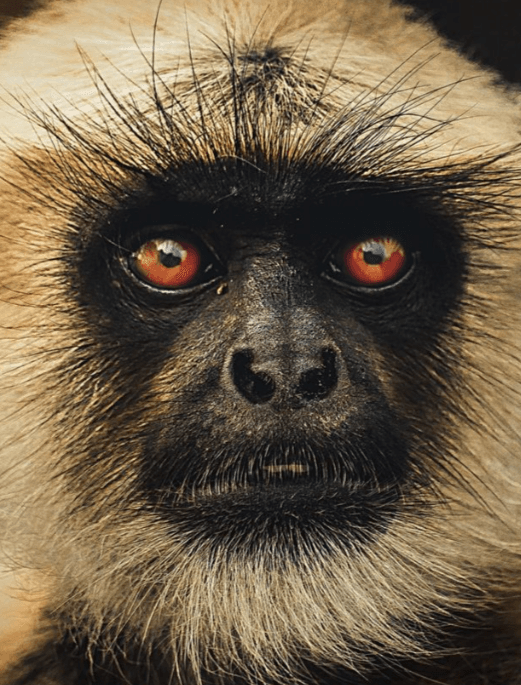 Amarnath's photography 11