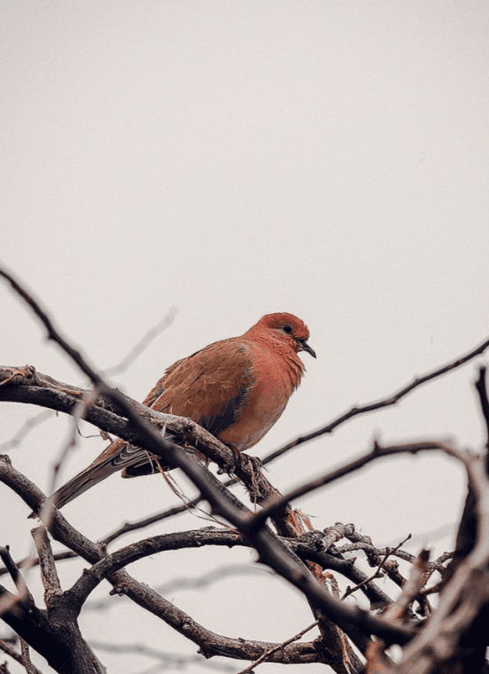 Amarnath's photography 13