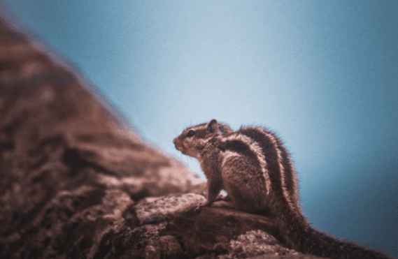 Amarnath's photography 15