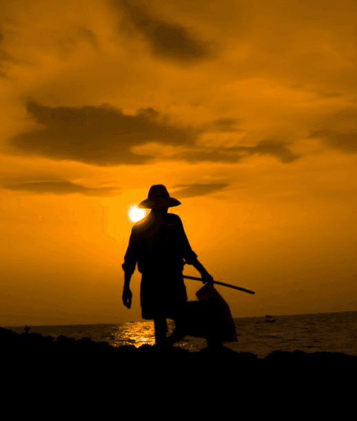 Amarnath's photography 6