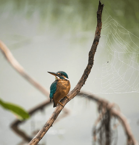 Amarnath's photography 3