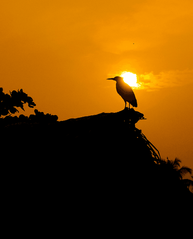 Amarnath's photography 5